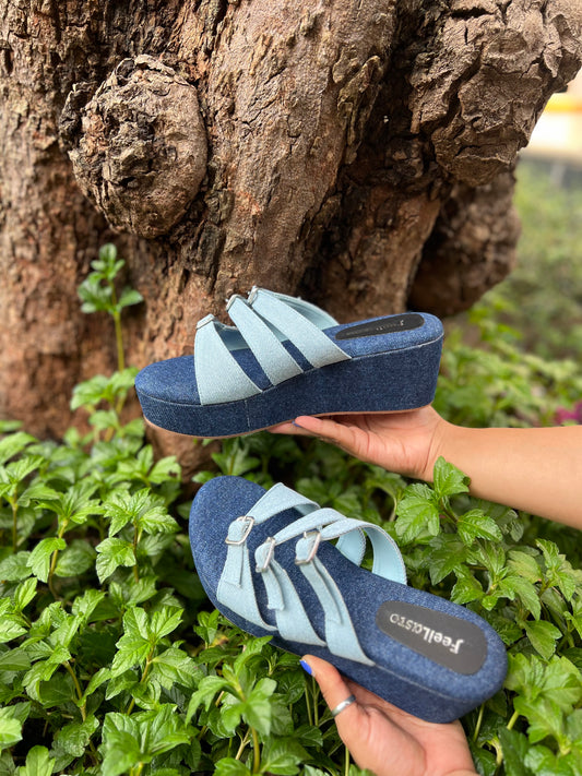 Blue Hue Wedges
